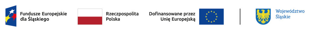 fe sl kolor poziom br